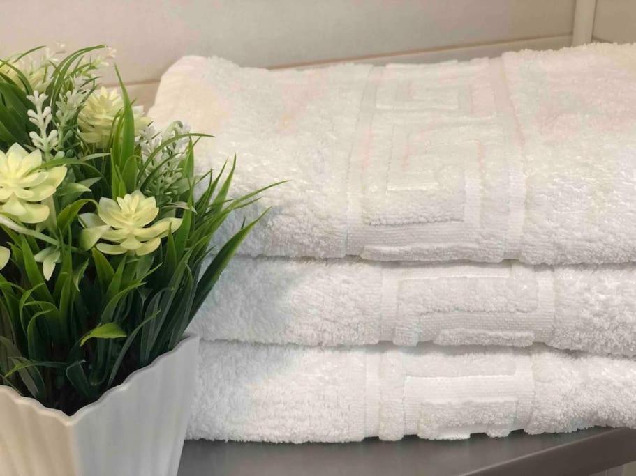 Apartamento Andaluz Carma 토록스 외부 사진